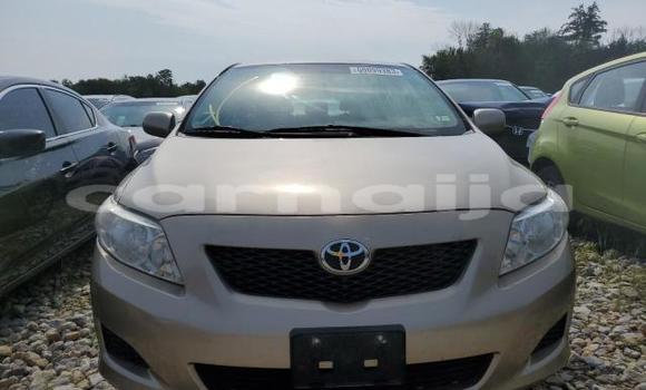 Acheter Neuf Voiture Toyota Corolla Rouge à Lagos, État de Lagos Acheter Neuf Voiture Toyota Corolla Rouge à Lagos, État de Lagos