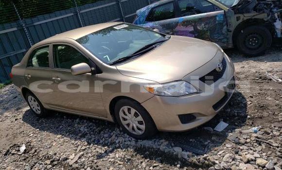 Acheter Neuf Voiture Toyota Corolla Rouge à Lagos, État de Lagos Acheter Neuf Voiture Toyota Corolla Rouge à Lagos, État de Lagos