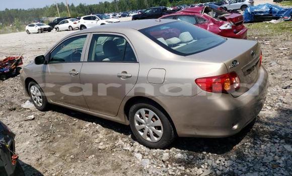 Acheter Neuf Voiture Toyota Corolla Rouge à Lagos, État de Lagos Acheter Neuf Voiture Toyota Corolla Rouge à Lagos, État de Lagos