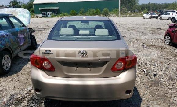 Acheter Neuf Voiture Toyota Corolla Rouge à Lagos, État de Lagos Acheter Neuf Voiture Toyota Corolla Rouge à Lagos, État de Lagos