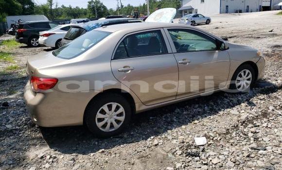 Acheter Neuf Voiture Toyota Corolla Rouge à Lagos, État de Lagos Acheter Neuf Voiture Toyota Corolla Rouge à Lagos, État de Lagos