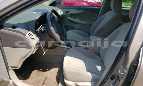 Acheter Neuf Voiture Toyota Corolla Rouge à Lagos, État de Lagos Acheter Neuf Voiture Toyota Corolla Rouge à Lagos, État de Lagos