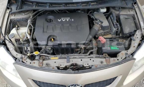 Acheter Neuf Voiture Toyota Corolla Rouge à Lagos, État de Lagos Acheter Neuf Voiture Toyota Corolla Rouge à Lagos, État de Lagos