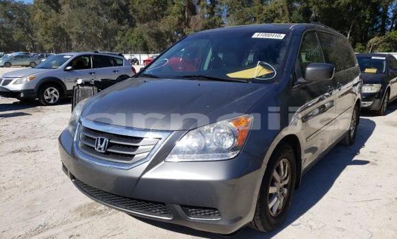 Buy New Honda Odyssey Black Car in Lagos in Lagos State