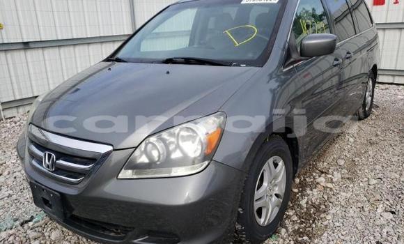 Buy New Honda Odyssey Black Car in Lagos in Lagos State