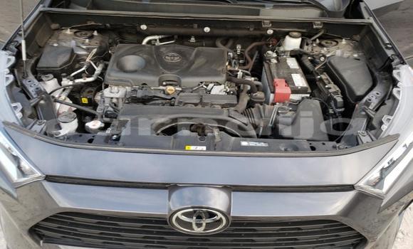 Buy New Toyota RAV4 Black Car in Lagos in Lagos State Buy New Toyota RAV4 Black Car in Lagos in Lagos State