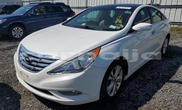 Buy New Hyundai Sonata White Car in Lagos in Lagos State