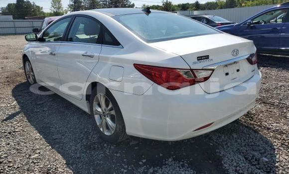 Acheter Neuf Voiture Hyundai Sonata Blanc à Lagos, État de Lagos Acheter Neuf Voiture Hyundai Sonata Blanc à Lagos, État de Lagos