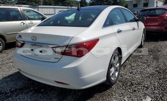Acheter Neuf Voiture Hyundai Sonata Blanc à Lagos, État de Lagos Acheter Neuf Voiture Hyundai Sonata Blanc à Lagos, État de Lagos