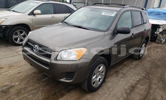 Acheter Neuf Voiture Toyota RAV4 Marron à Lagos, État de Lagos