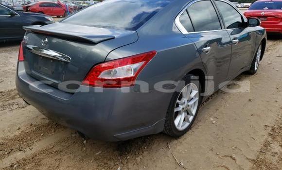 Acheter Neuf Voiture Nissan Maxima Noir à Lagos, État de Lagos Acheter Neuf Voiture Nissan Maxima Noir à Lagos, État de Lagos