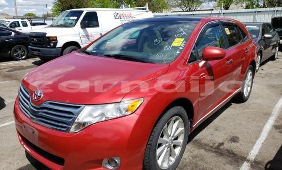 Buy New Toyota Venza Red Car in Lagos in Lagos State