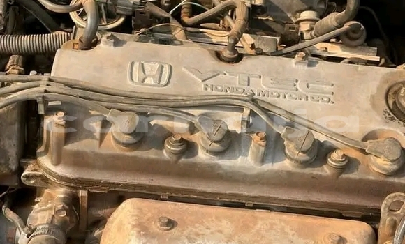 Buy Used Honda Accord Other Car in Abuja in Lagos State