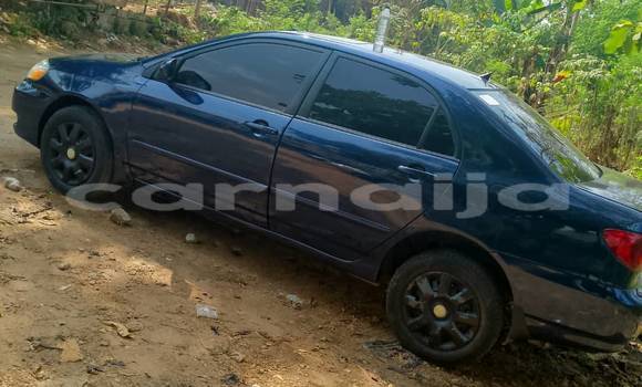 Acheter Occasion Voiture Toyota Corolla Bleu à Lagos, État de Lagos Acheter Occasion Voiture Toyota Corolla Bleu à Lagos, État de Lagos