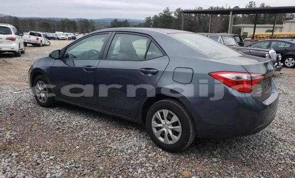 Acheter Neuf Voiture Toyota Corolla Noir à Lagos, État de Lagos Acheter Neuf Voiture Toyota Corolla Noir à Lagos, État de Lagos