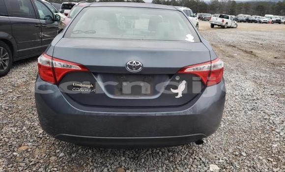 Acheter Neuf Voiture Toyota Corolla Noir à Lagos, État de Lagos Acheter Neuf Voiture Toyota Corolla Noir à Lagos, État de Lagos