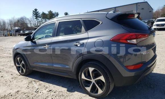 Acheter Neuf Voiture Hyundai Tucson Noir à Lagos, État de Lagos Acheter Neuf Voiture Hyundai Tucson Noir à Lagos, État de Lagos
