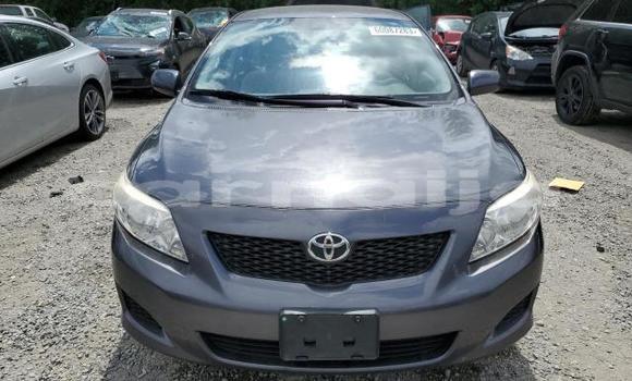 Buy New Toyota Corolla Black Car in Lagos in Lagos State