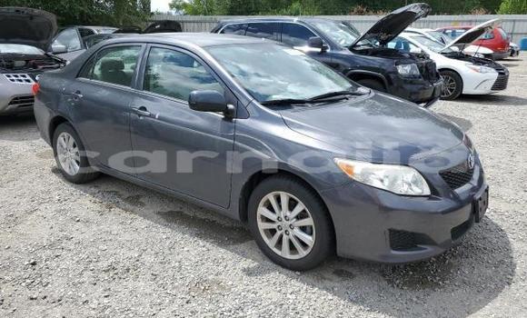 Acheter Neuf Voiture Toyota Corolla Noir à Lagos, État de Lagos Acheter Neuf Voiture Toyota Corolla Noir à Lagos, État de Lagos