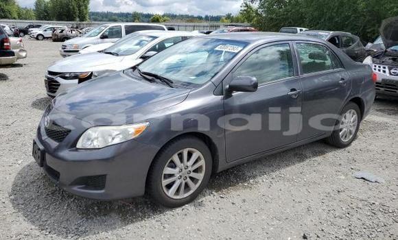 Acheter Neuf Voiture Toyota Corolla Noir à Lagos, État de Lagos Acheter Neuf Voiture Toyota Corolla Noir à Lagos, État de Lagos