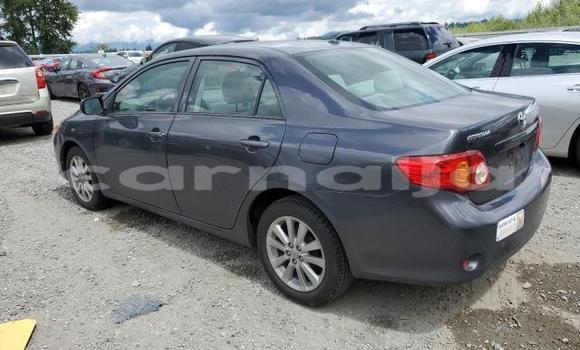 Acheter Neuf Voiture Toyota Corolla Noir à Lagos, État de Lagos Acheter Neuf Voiture Toyota Corolla Noir à Lagos, État de Lagos