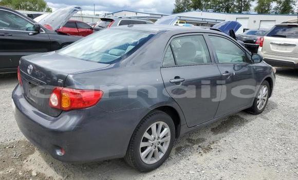 Acheter Neuf Voiture Toyota Corolla Noir à Lagos, État de Lagos Acheter Neuf Voiture Toyota Corolla Noir à Lagos, État de Lagos