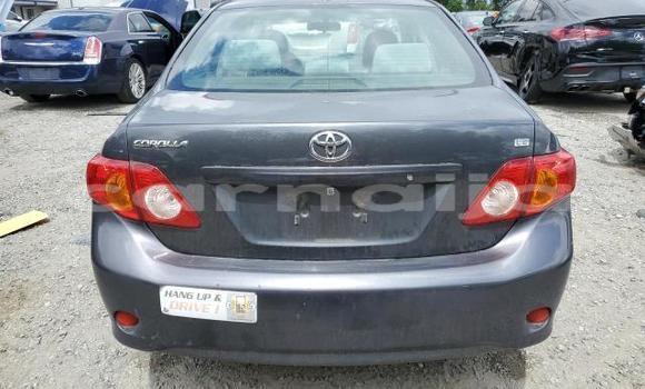 Acheter Neuf Voiture Toyota Corolla Noir à Lagos, État de Lagos Acheter Neuf Voiture Toyota Corolla Noir à Lagos, État de Lagos