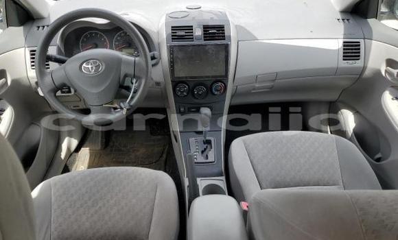 Acheter Neuf Voiture Toyota Corolla Noir à Lagos, État de Lagos Acheter Neuf Voiture Toyota Corolla Noir à Lagos, État de Lagos