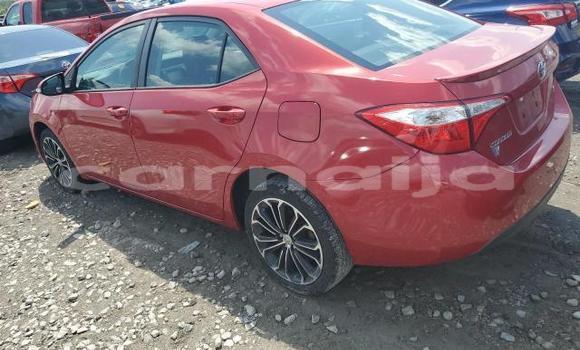 Buy New Toyota Corolla Red Car in Lagos in Lagos State Buy New Toyota Corolla Red Car in Lagos in Lagos State