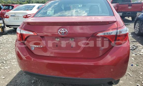 Buy New Toyota Corolla Red Car in Lagos in Lagos State Buy New Toyota Corolla Red Car in Lagos in Lagos State