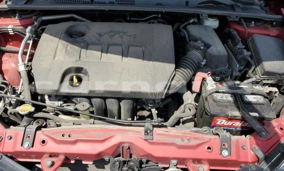 Buy New Toyota Corolla Red Car in Lagos in Lagos State Buy New Toyota Corolla Red Car in Lagos in Lagos State