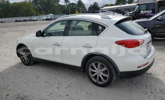 Acheter Neuf Voiture Infiniti QX50 Blanc à Lagos, État de Lagos Acheter Neuf Voiture Infiniti QX50 Blanc à Lagos, État de Lagos