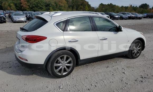 Acheter Neuf Voiture Infiniti QX50 Blanc à Lagos, État de Lagos Acheter Neuf Voiture Infiniti QX50 Blanc à Lagos, État de Lagos