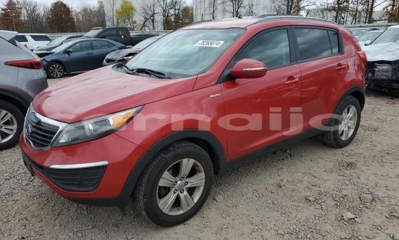 Buy New Kia Sportage Red Car in Lagos in Lagos State