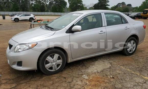 Buy New Toyota Corolla Silver Car in Lagos in Lagos State