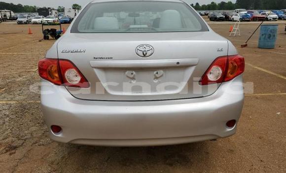 Acheter Neuf Voiture Toyota Corolla Gris à Lagos, État de Lagos Acheter Neuf Voiture Toyota Corolla Gris à Lagos, État de Lagos