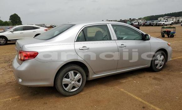 Acheter Neuf Voiture Toyota Corolla Gris à Lagos, État de Lagos Acheter Neuf Voiture Toyota Corolla Gris à Lagos, État de Lagos