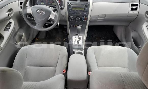 Acheter Neuf Voiture Toyota Corolla Gris à Lagos, État de Lagos Acheter Neuf Voiture Toyota Corolla Gris à Lagos, État de Lagos