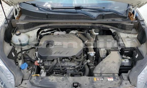 Acheter Neuf Voiture Kia Sportage Blanc à Lagos, État de Lagos Acheter Neuf Voiture Kia Sportage Blanc à Lagos, État de Lagos