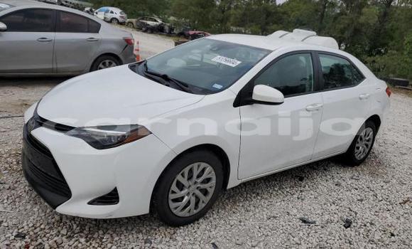 Buy New Toyota Corolla White Car in Lagos in Lagos State