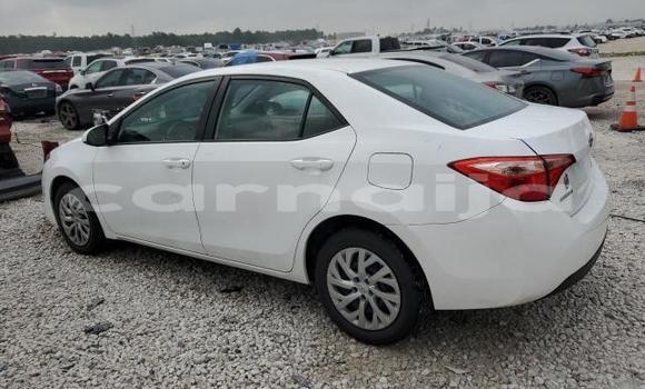 Acheter Neuf Voiture Toyota Corolla Blanc à Lagos, État de Lagos Acheter Neuf Voiture Toyota Corolla Blanc à Lagos, État de Lagos