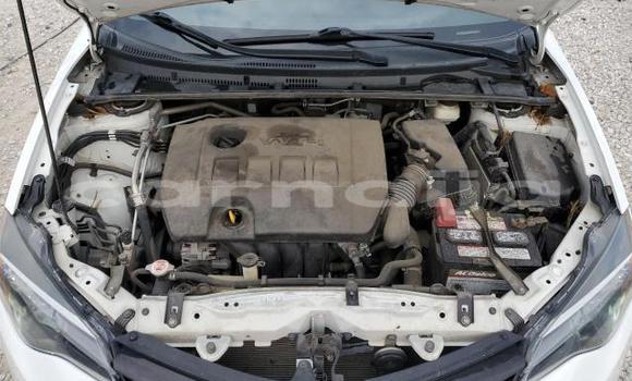 Acheter Neuf Voiture Toyota Corolla Blanc à Lagos, État de Lagos Acheter Neuf Voiture Toyota Corolla Blanc à Lagos, État de Lagos