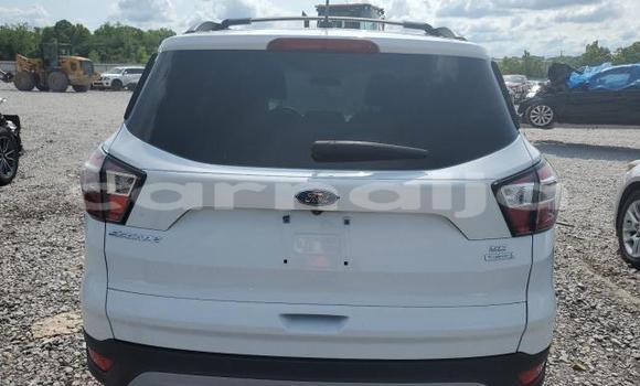 Acheter Neuf Voiture Ford Escape Blanc à Lagos, État de Lagos Acheter Neuf Voiture Ford Escape Blanc à Lagos, État de Lagos