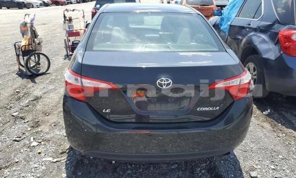 Acheter Neuf Voiture Toyota Corolla Noir à Lagos, État de Lagos Acheter Neuf Voiture Toyota Corolla Noir à Lagos, État de Lagos