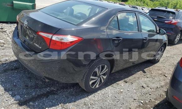 Acheter Neuf Voiture Toyota Corolla Noir à Lagos, État de Lagos Acheter Neuf Voiture Toyota Corolla Noir à Lagos, État de Lagos