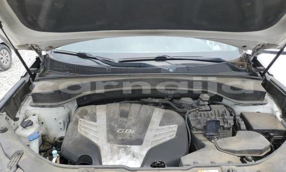 Acheter Neuf Voiture Kia Sorento Blanc à Lagos, État de Lagos Acheter Neuf Voiture Kia Sorento Blanc à Lagos, État de Lagos