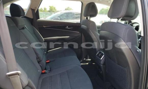 Acheter Neuf Voiture Kia Sorento Blanc à Lagos, État de Lagos Acheter Neuf Voiture Kia Sorento Blanc à Lagos, État de Lagos