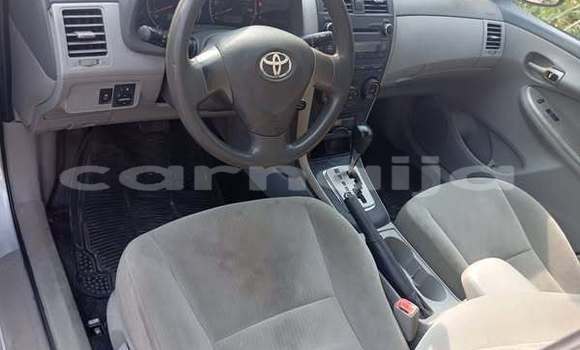 Buy Used Toyota Corolla Other Car in Lagos in Lagos State Buy Used Toyota Corolla Other Car in Lagos in Lagos State