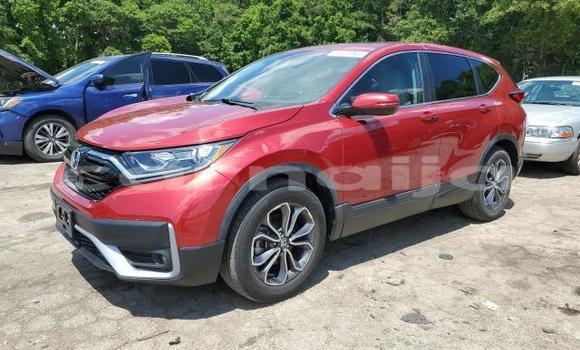 Buy New Honda CR–V Red Car in Lagos in Lagos State
