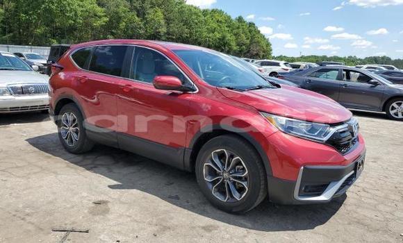 Acheter Neuf Voiture Honda CR–V Rouge à Lagos, État de Lagos Acheter Neuf Voiture Honda CR–V Rouge à Lagos, État de Lagos
